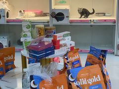 -lincat·猫舍(广州店)