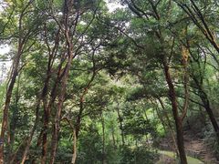 -飞霞风景名胜区