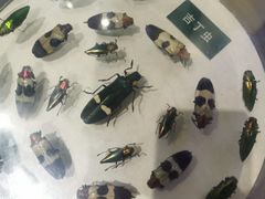 -陕西自然博物馆