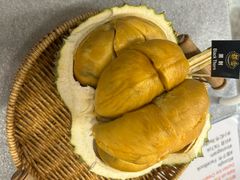 -都念榴莲·城市榴莲