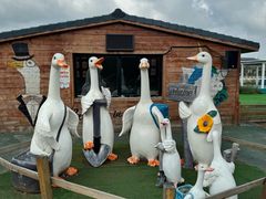 -中国马镇舞马世界主题乐园