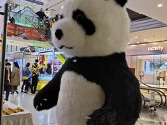 -万达广场(济南魏家庄店)