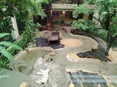 -麒麟中餐厅·经典粤菜·地道菜式老字号(广州长隆酒店)