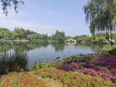 -尚湖风景区