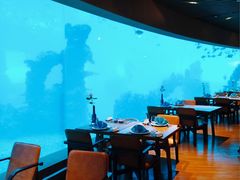 -海棠湾洲际-涛·海底餐厅·美人鱼·自助餐·海底隧道