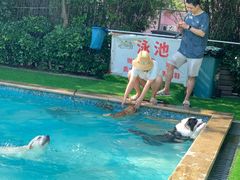 -汪说喵讲宠物乐园宠物酒店(红星美凯龙店)