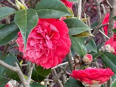 -神光山国家森林公园