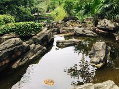 -晓港公园