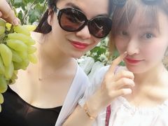 -马陆小张葡萄园农家乐