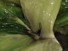 -眉州东坡(华联万柳店)