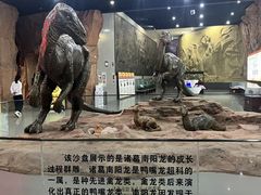 -中国西峡恐龙遗迹园