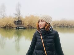 -泗洪洪泽湖湿地景区