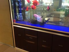 -北京临空智选假日酒店