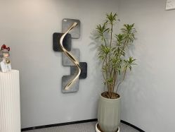-张小野·专业半永久纹眉
