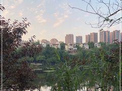 -重庆彩云湖湿地公园