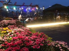 -冰冰龙虾·江湖菜·花园江景餐厅