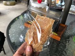 -柴犬高等学院·狗咖·柴犬售卖·宠物训练