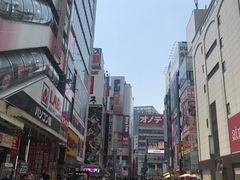 -秋叶原电器街