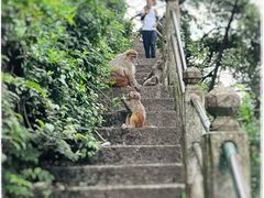 -黔灵山公园