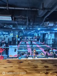 -零重力蹦床空间·滑梯·海洋球·团建(奥特莱斯店)