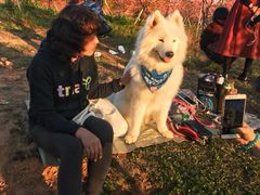 -天适樱花悠乐园