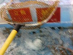 -吉莲利苑海鲜酒家(珠海拱北29年老字号店)