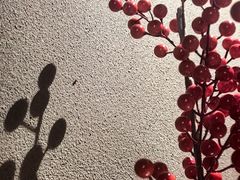 -和悦SPA·采耳(聚丰园路店)