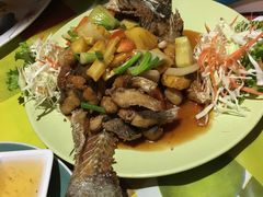 -Jungle Kitchen