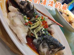 清蒸多宝鱼-眉州东坡(博雅店)
