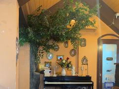 -猫岛主趣味餐厅(鼓浪屿店)