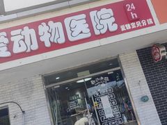 -中农大我爱我爱24h动物医院·中医针灸·猫专科·骨科医疗中心(双井店)