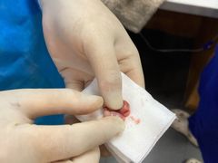 -联合动物医院(光谷诊疗中心)