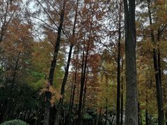 -晓港公园