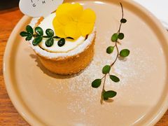 -洞见INSIGHT COFFEE