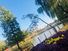 -祥源·阜阳生态乐园