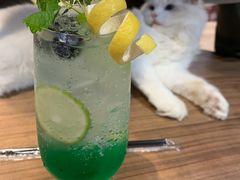 绿薄荷苏打-瞄一喵猫咖(格力海岸店)
