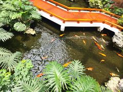 -广州白天鹅宾馆