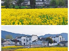-南屏景区