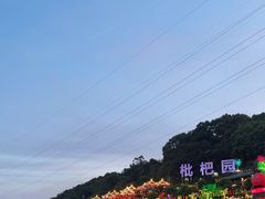 -枇杷园食为鲜火锅(南山店)