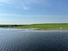 -黑龙江扎龙生态旅游区