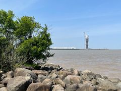 -上海吴淞炮台湾国家湿地公园