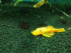 -太平洋海底世界