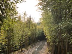 -崇阳三特浪口温泉