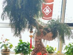 -八马茶业(胜利路旗舰店星海湾茶馆)