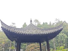 -溪口商量岗景区