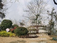 -龟山风景区-龟山电视塔