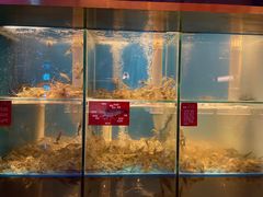 水产区-钳真多钓虾馆·小龙虾海鲜烧烤(九六广场店)