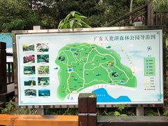 -天鹿湖森林公园