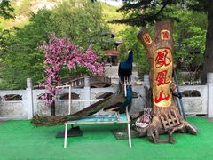 -丹东凤凰山景区
