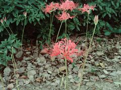 -江南大学(蠡湖校区)